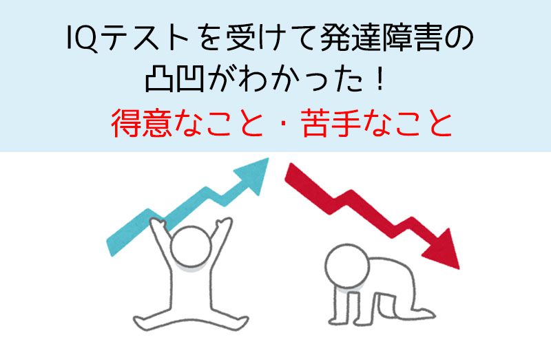 Iq知能検査を受けて子供の発達障害 生活行動の問題点がわかった 市川さんのおうちスタイル